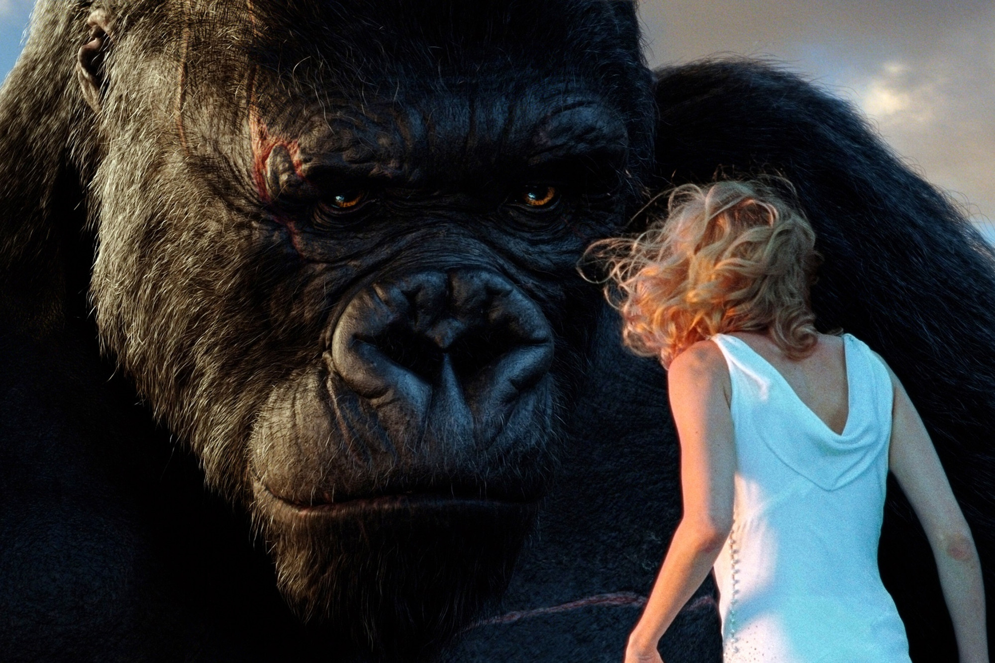 King kong deals 2005